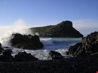 isola_dino