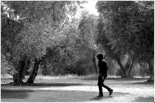  Imperia M. Martin Vicente - Attribution License (http://creativecommons.org/licenses/by/2.0/) M. Martin Vicente