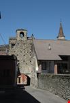 Voltone