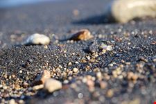  spiaggia topinetti