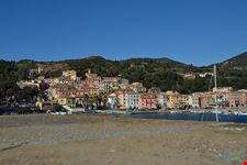  cavo