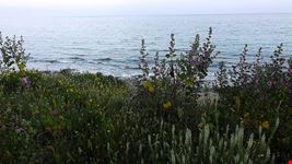  litoranea salentina