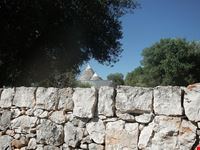  tour nella valle d itria