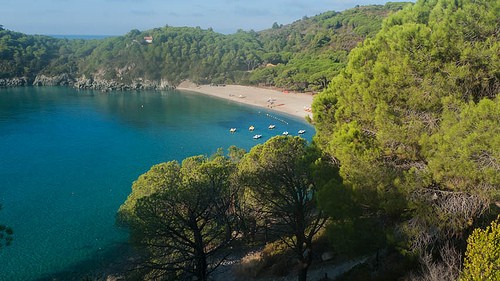  spiaggia fetovaia