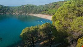  spiaggia fetovaia