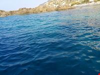  spiaggia di colle palombaia