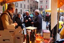 imola baccanale imola
