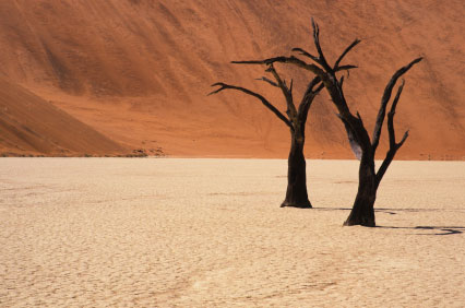Deserto a Windhoek