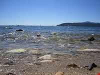  spiaggia madonna delle grazie