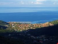  crocetta