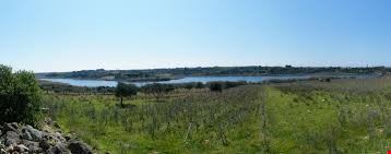 riserva