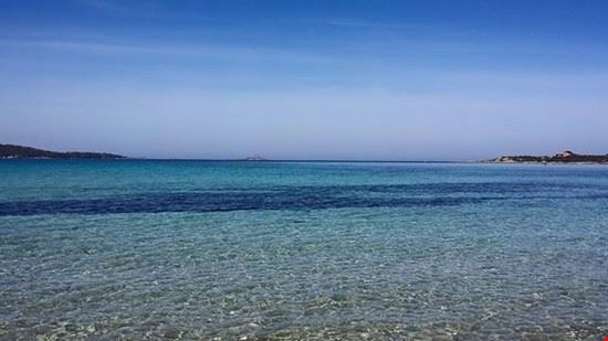  Olbia  
