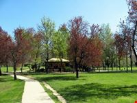 parco dei cedri bologna san lazzaro