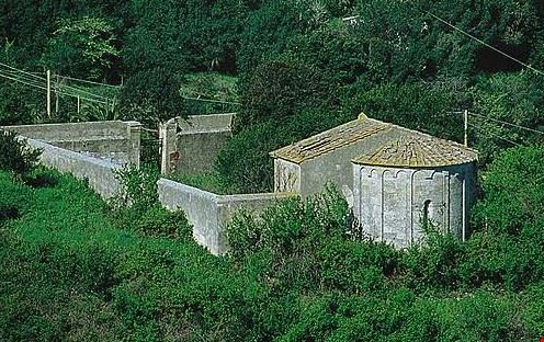 Pieve di San Michele - Formica rufa - Formica rufa - Public Domain