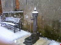 La vedovella
