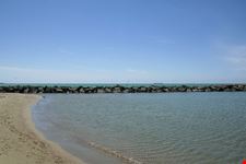  mare