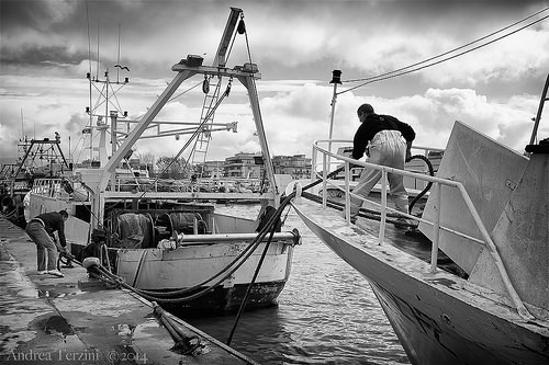  porto di fiumicino
