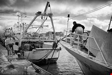  porto di fiumicino