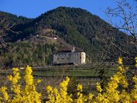  castello tirolo