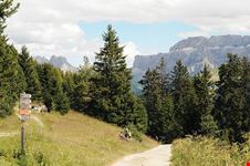  la pineta