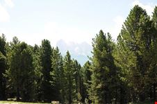  la pineta