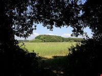  riserva naturale statale litorale romano