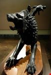  museo rambotti