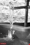  terme sensoriali