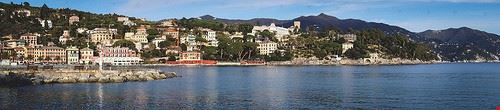  i cetacei del mar ligure