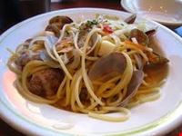maccheroncini