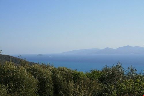  Populonia Glen Bowman - Attribution-ShareAlike License (http://creativecommons.org/licenses/by-sa/2.0/) Glen Bowman