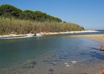 pineta del gelsomineto