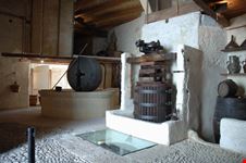 museo palmento midolo avola
