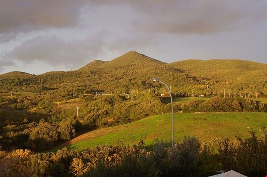 Monte Pelato - Mark.castiglioncello - Mark.castiglioncello - CC BY­SA 3.0