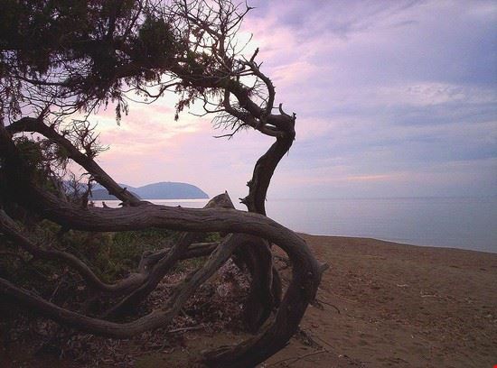 Parco naturale di Rimigliano - Rimigliano - Rimigliano - CC BY­SA 3.0