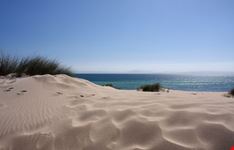 tarifa la duna