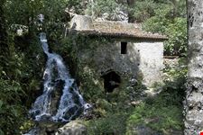  morigerati