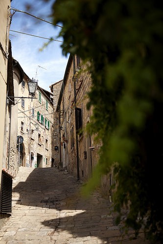  bolgheri