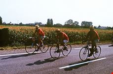  pista ciclabile