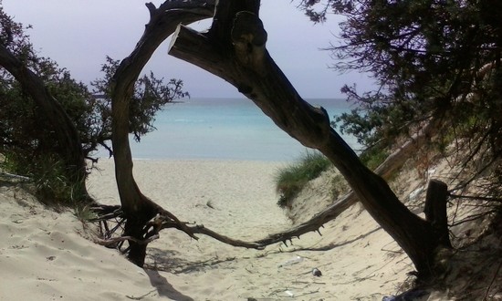 salento nel cuore