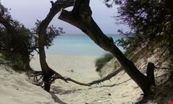 salento nel cuore