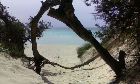  Porto Cesareo  