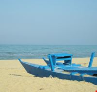 mare mare