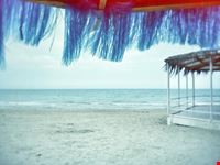  coco beach