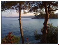  porto frailis