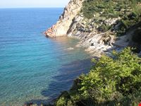  cala ginepro