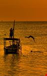 cool off in Zanzibar