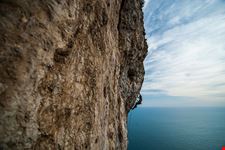  capo d orso
