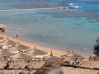 faraana reef sharm el sheikh