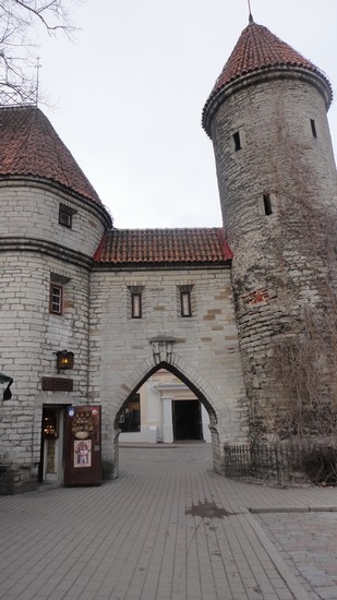 PORTA TALLIN